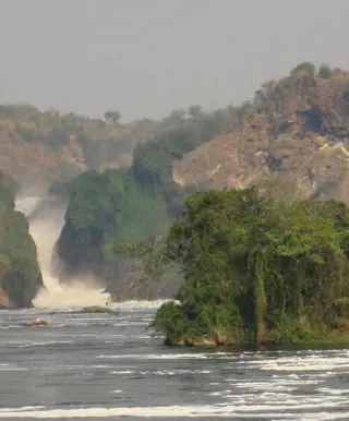 Schimpansen auf der Spur im Murchison Falls Nationalpark